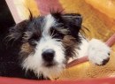 L�L� in Hammock