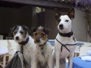 L�l�, Soneca & Valentino at the Club 55